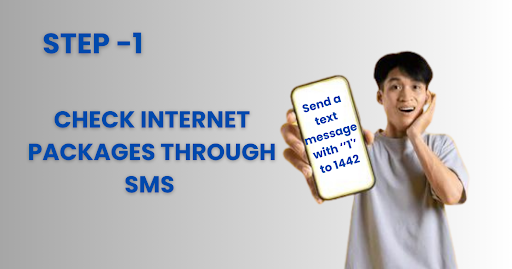 Method #1. Check Internet Packages Through SMS